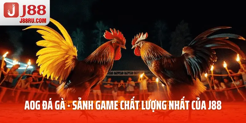 Aog Đá Gà