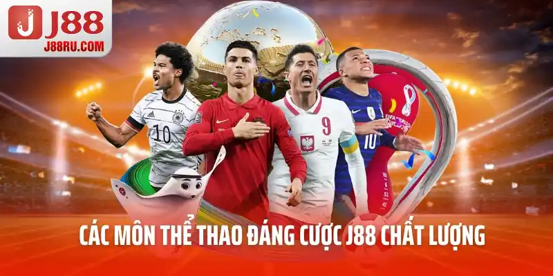 Các môn thể thao đáng cược chất lượng