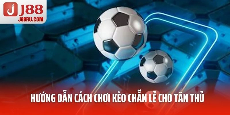 Hướng dẫn cách chơi kèo chẵn lẻ cho tân thủ