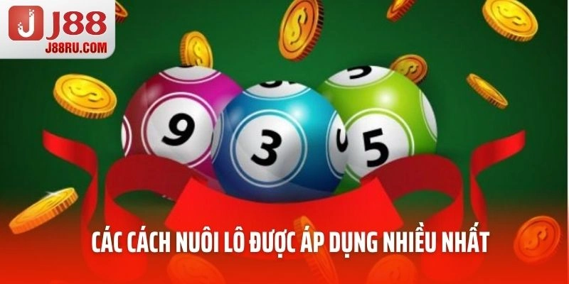 Các cách nuôi lô được áp dụng nhiều nhất