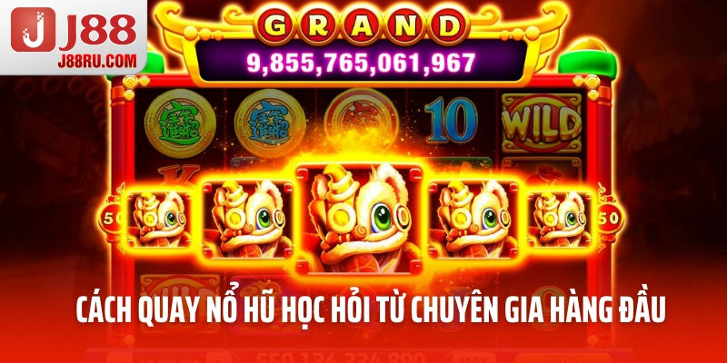 Tận dụng các kinh nghiệm từ chuyên gia 