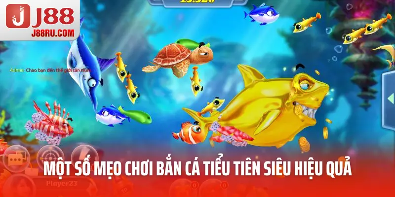 Một số mẹo chơi bắn cá tiểu tiên siêu hiệu quả