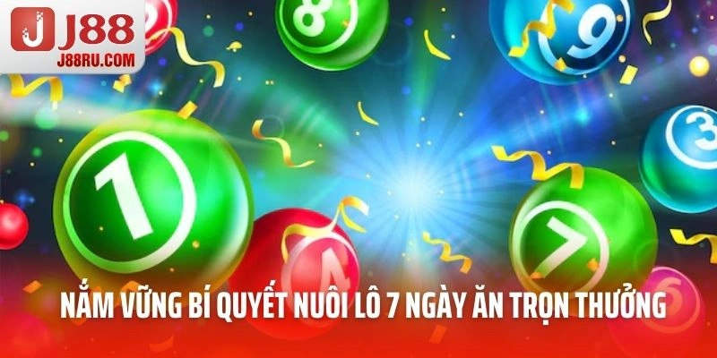 Nuôi Lô 7 Ngày