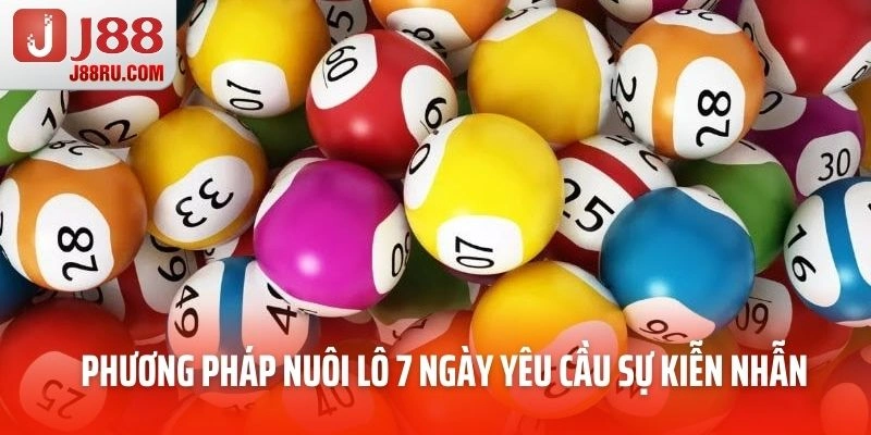 Phương pháp nuôi lô 7 ngày yêu cầu cao sự kiễn nhẫn