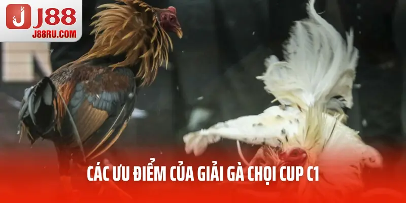 Các ưu điểm của giải gà chọi cup C1